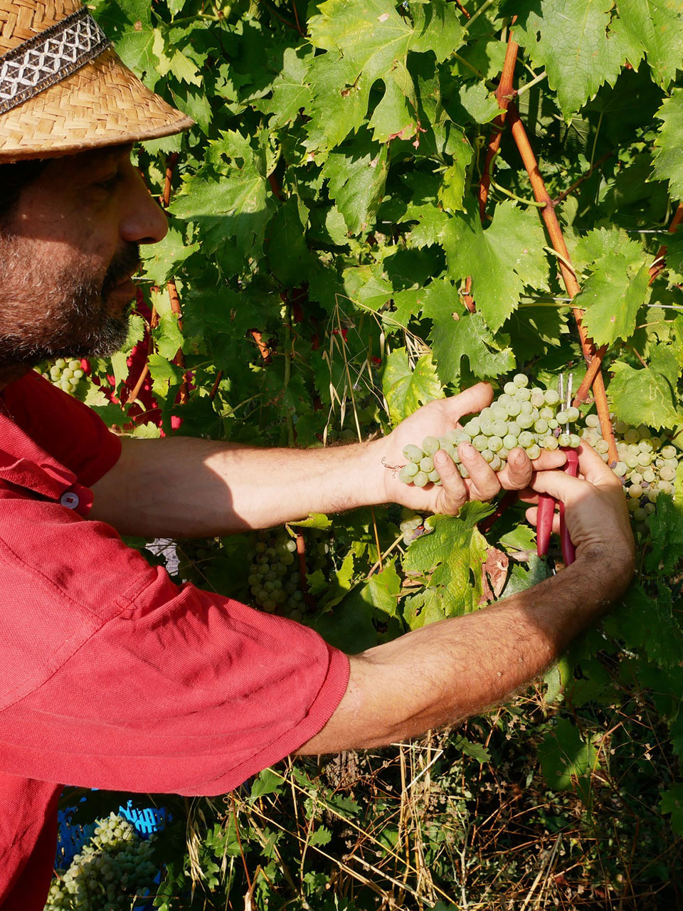 456922876_1037716475026028_2409547606381463706_n