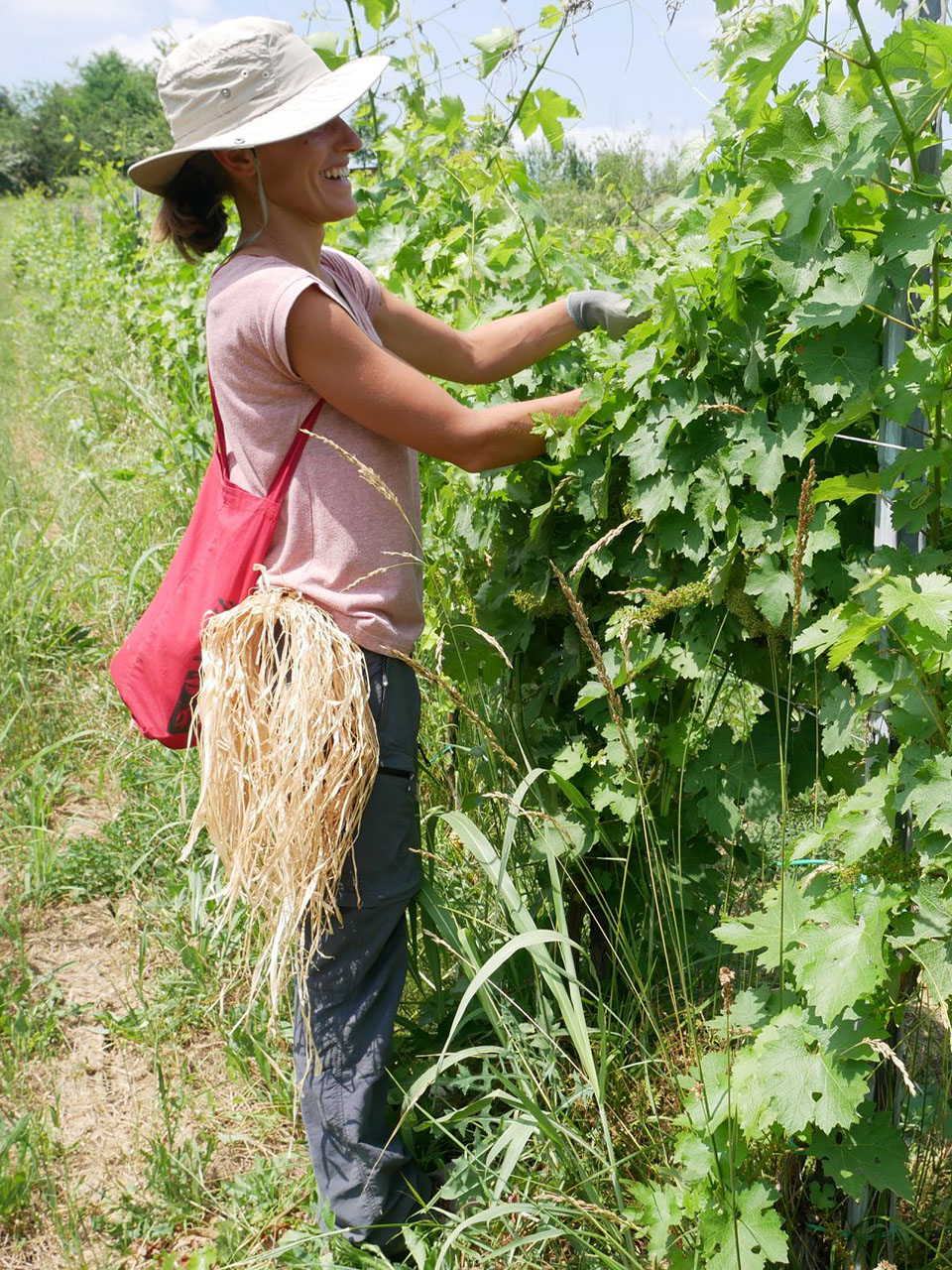 65252018_10162032120610083_7862307668235386880_n