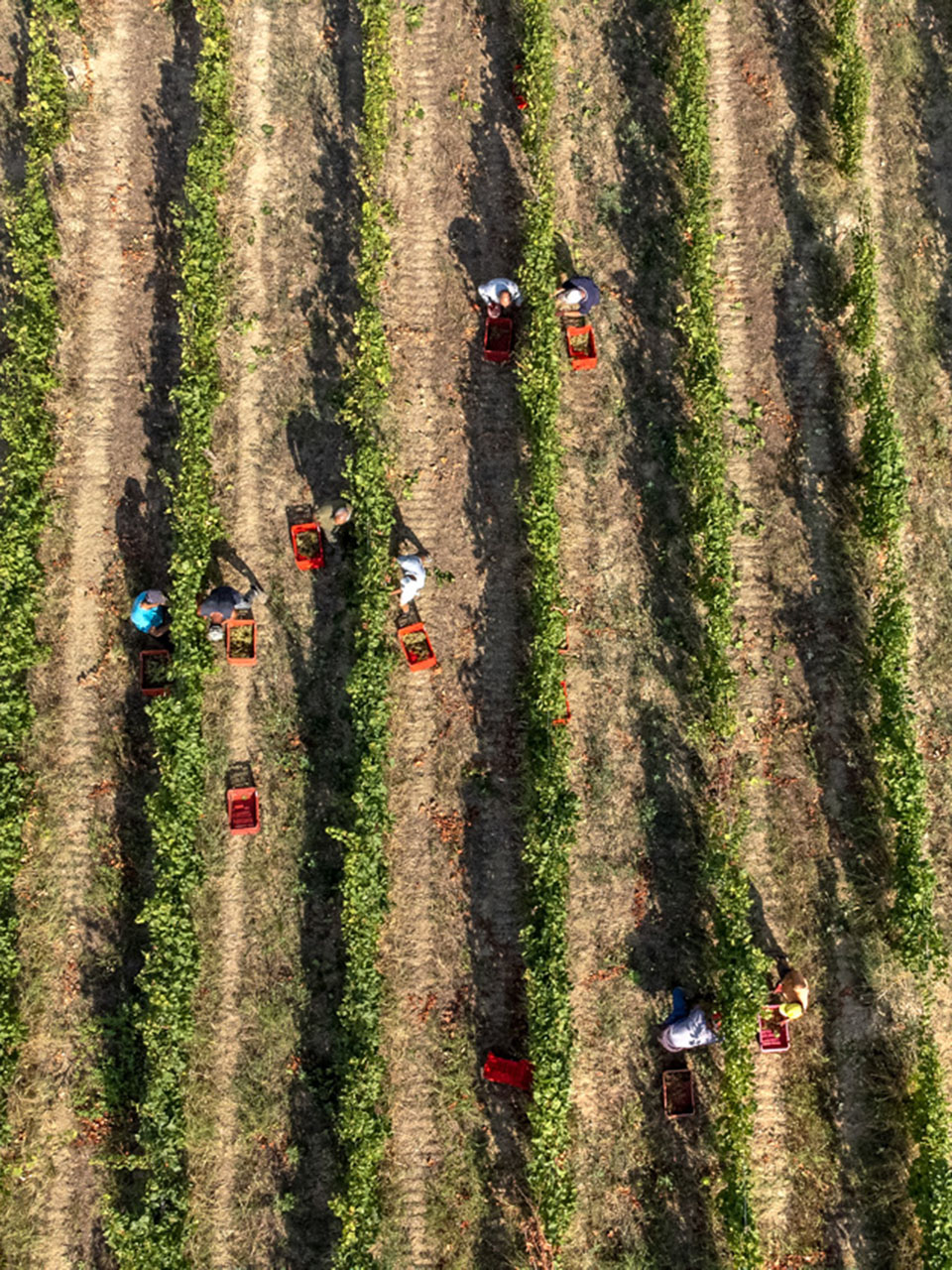 atam-natale-25-img-1