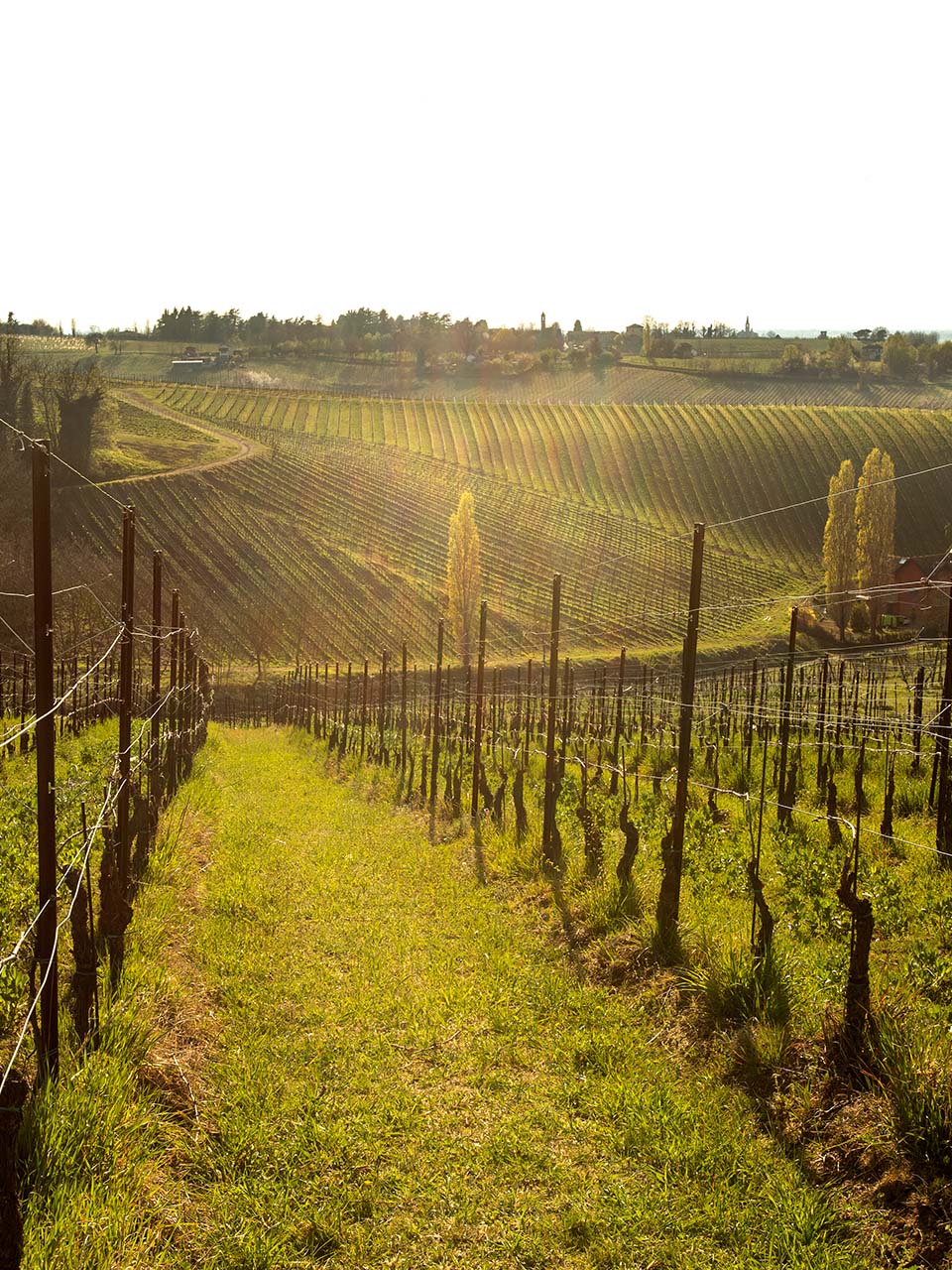 atam-natale-25-img-2