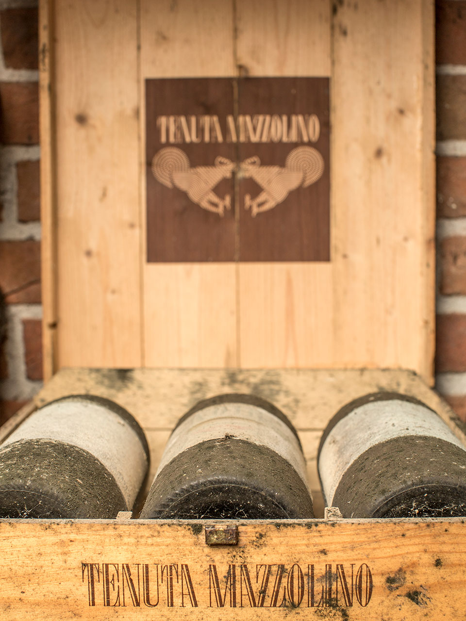 atam-natale-25-img-3